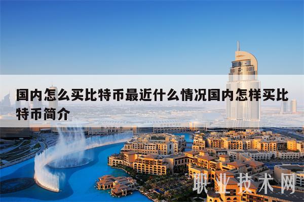 国内怎么买比特币最近什么情况国内怎样买比特币简介-第1张图片-欧意下载 国内怎么买比特币最近什么情况国内怎样买比特币简介-第1张图片-欧意下载