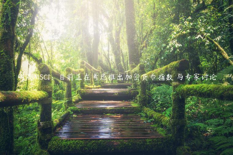 明晟MSCI：目前正在考虑推出加密货币指数 与专家讨论-第1张图片-欧意下载