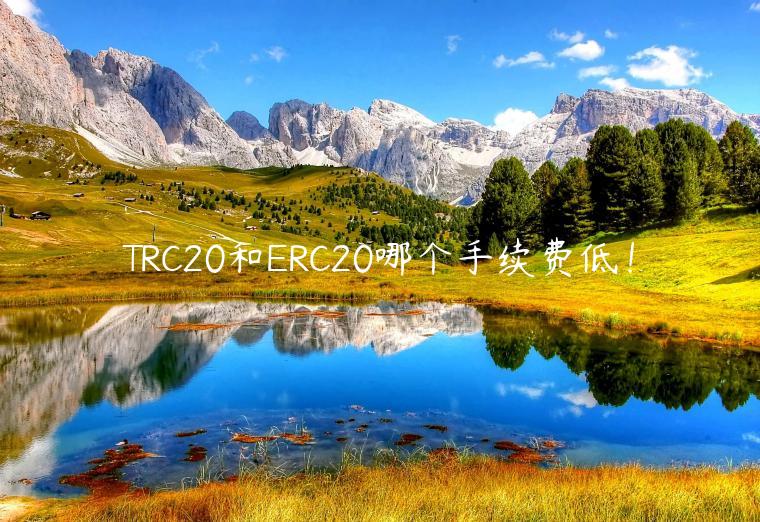 TRC20和RC20哪个手续费低！-第1张图片-欧意下载