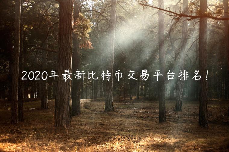 2020年最新比特币交易平台排名!-第1张图片-欧意下载 2020年最新比特币交易平台排名!-第1张图片-欧意下载