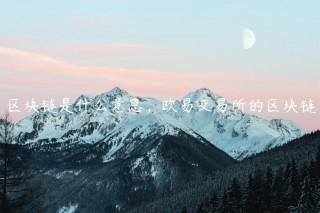 区块链是什么意思，欧意交易平台的区块链