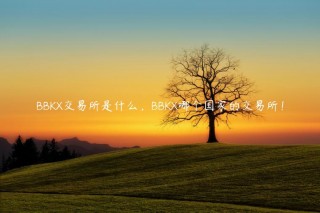 BBK交易平台是什么，BBK哪个国家的交易平台！