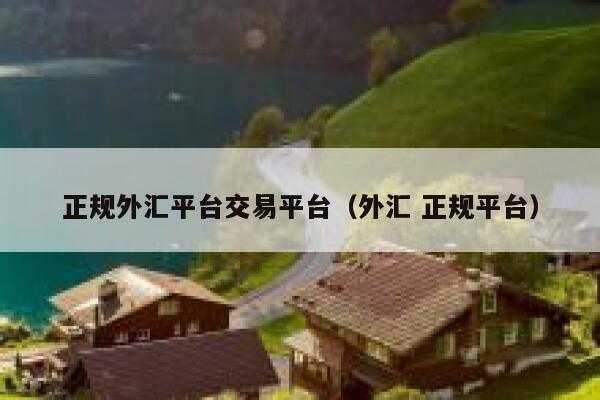 正规外汇平台交易平台（外汇 正规平台）-第1张图片-欧意下载
