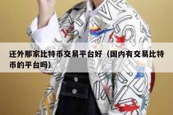 还外那家比特币交易平台好（国内有交易比特币的平台吗）-第1张图片-欧意下载