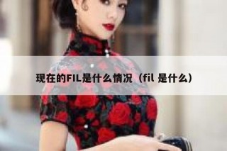 现在的FIL是什么情况（fil 是什么）