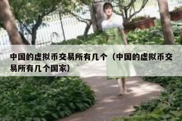 中国的虚拟币交易平台有几个（中国的虚拟币交易平台有几个国家）-第1张图片-欧意下载