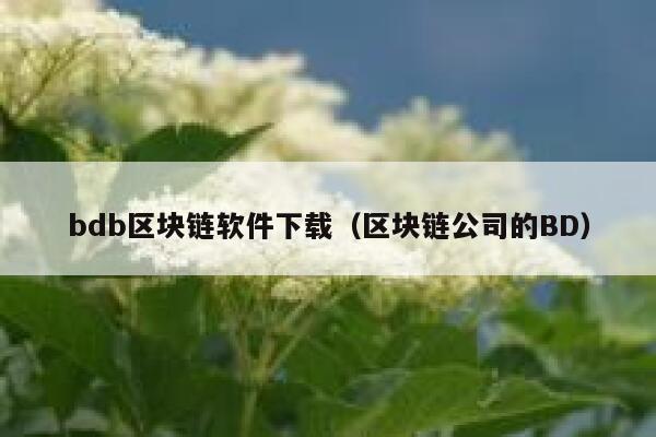 bdb区块链软件下载（区块链公司的BD）-第1张图片-欧意下载