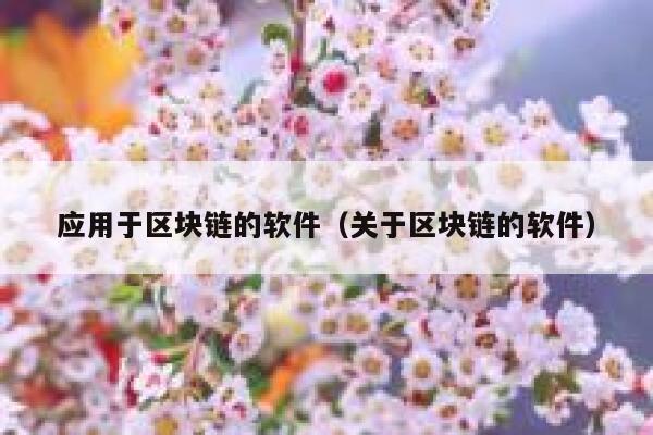 应用于区块链的软件（关于区块链的软件）-第1张图片-欧意下载