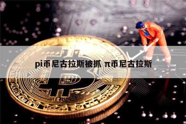 pi币尼古拉斯被抓了吗 pi币主网上线时间-第1张图片-欧意下载 pi币尼古拉斯被抓了吗 pi币主网上线时间-第1张图片-欧意下载