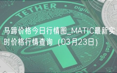 马蹄价格今日行情图_MATIC最新实时价格行情查询（03月23日）-第1张图片-欧意下载