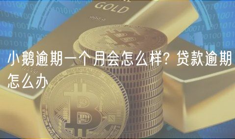 小鹅逾期一个月会怎么样? 贷款逾期怎么办-第1张图片-欧意下载 小鹅逾期一个月会怎么样? 贷款逾期怎么办-第1张图片-欧意下载