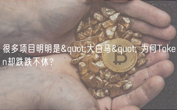 很多项目明明是"大白马" 为何Token却跌跌不休?-第1张图片-欧意下载 很多项目明明是"大白马" 为何Token却跌跌不休?-第1张图片-欧意下载