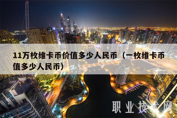 11万枚维卡币价值多少人民币(一枚维卡币值多少人民币)