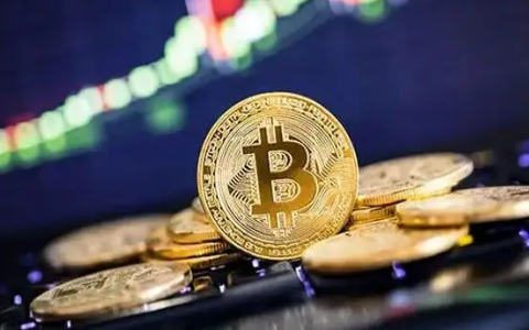 正规数字货币交易平台|2023虚拟币交易平台app排行-第4张图片-欧意下载