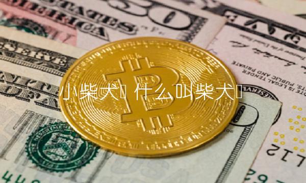 小柴犬币 什么叫柴犬币-第1张图片-欧意下载 小柴犬币 什么叫柴犬币-第1张图片-欧意下载