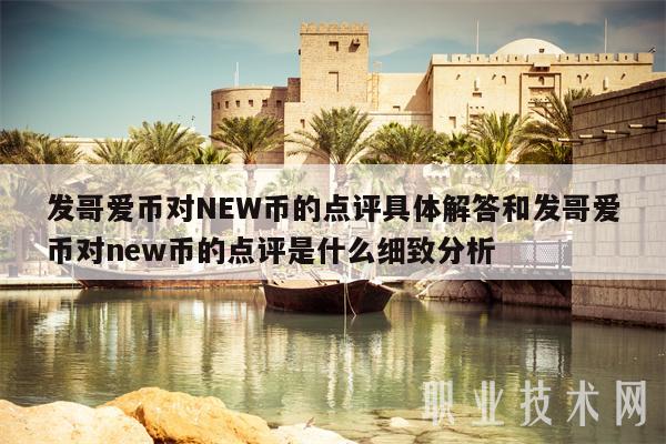 发哥爱币对NEW币的点评具体解答和发哥爱币对new币的点评是什么细致分析