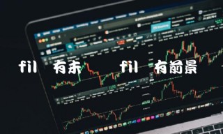 fil还有未来吗 fil还有前景吗