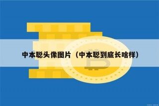 中本聪头像图片（中本聪到底长啥样）