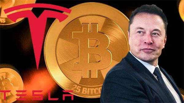 下一个牛市会暴涨的币(下个牛市能暴涨的币)-第1张图片-欧意下载