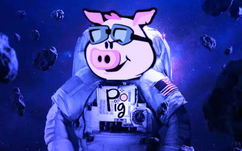 pig币app怎么使用 pigBIAN卓手机交易平台-第1张图片-欧意下载 pig币app怎么使用 pigBIAN卓手机交易平台-第1张图片-欧意下载