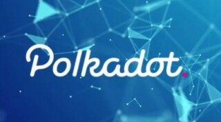 dot币下载地址 dot币交易平台app最新手机平台