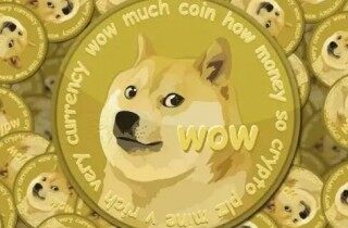 最新狗币交易中心app官网下载 狗币交易平台狗币下载地址