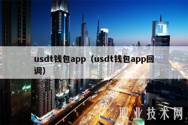usdt钱包app(usdt钱包app回调)