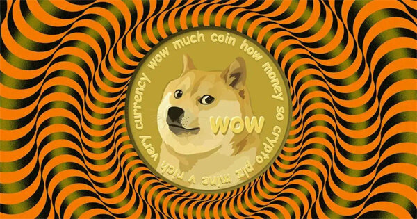 狗狗币钱包专业版下载_狗狗币钱包安卓手机端最新版v5.3.3-第1张图片-欧意下载