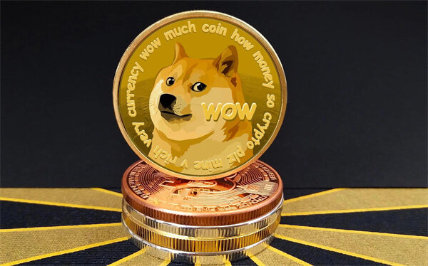 狗狗币钱包专业版下载_狗狗币钱包安卓手机端最新版v5.3.3-第3张图片-欧意下载