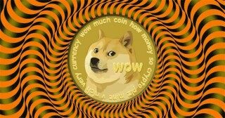 狗狗币钱包专业版下载_狗狗币钱包安卓手机端最新版v5.3.3