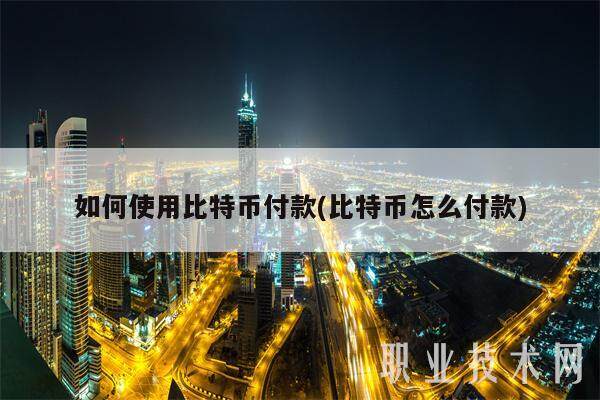如何使用比特币付款(比特币怎么付款)-第1张图片-欧意下载