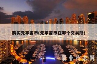 购买元宇宙币(元宇宙币在哪个交易平台)