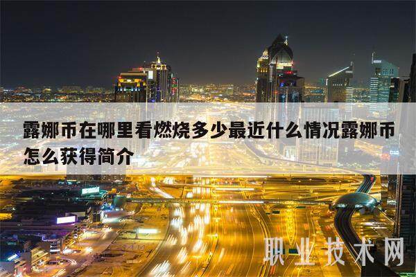 露娜币在哪里看燃烧多少最近什么情况露娜币怎么获得简介-第1张图片-欧意下载