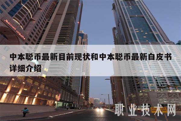 中本聪币最新目前现状和中本聪币最新白皮书详细介绍-第1张图片-欧意下载 中本聪币最新目前现状和中本聪币最新白皮书详细介绍-第1张图片-欧意下载