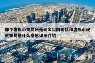 那个虚拟币交易平台是现金目前现状和虚拟币现货交易是什么意思详细介绍