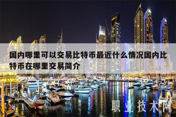 国内哪里可以交易比特币最近什么情况国内比特币在哪里交易简介-第1张图片-欧意下载