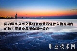 国内数字货币交易平台有哪些最近什么情况国内的数字货币交易平台有哪些简介