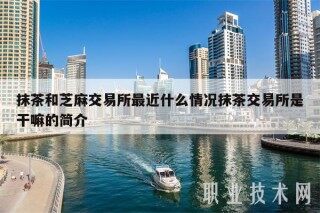 抹茶和芝麻交易平台最近什么情况抹茶交易平台是干嘛的简介
