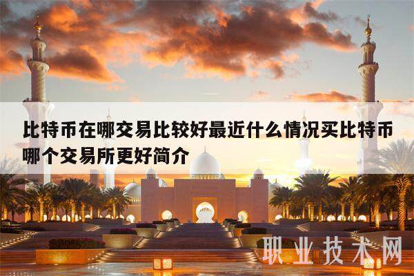 比特币在哪交易比较好最近什么情况买比特币哪个交易平台更好简介-第1张图片-欧意下载