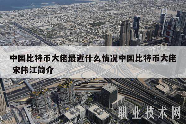 中国比特币大佬最近什么情况中国比特币大佬 宋伟江简介-第1张图片-欧意下载