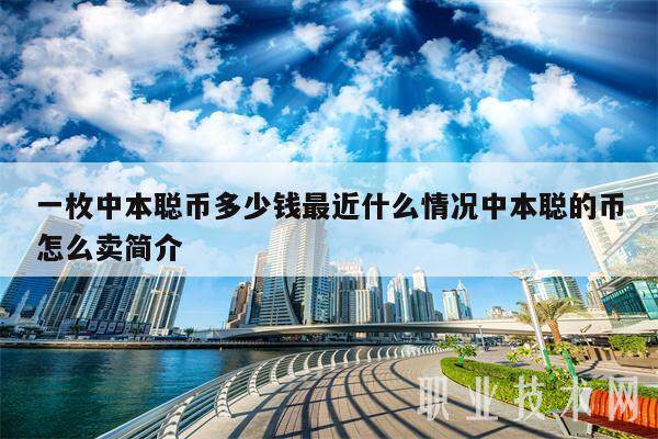 一枚中本聪币多少钱最近什么情况中本聪的币怎么卖简介-第1张图片-欧意下载