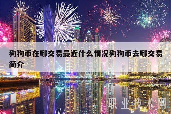 狗狗币在哪交易最近什么情况狗狗币去哪交易简介-第1张图片-欧意下载