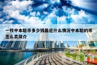 一枚中本聪币多少钱最近什么情况中本聪的币怎么卖简介