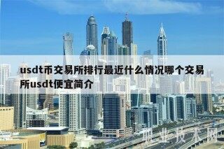 usdt币交易平台排行最近什么情况哪个交易平台usdt便宜简介