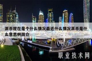 派币现在是个什么情况最近什么情况派币是什么意思啊简介
