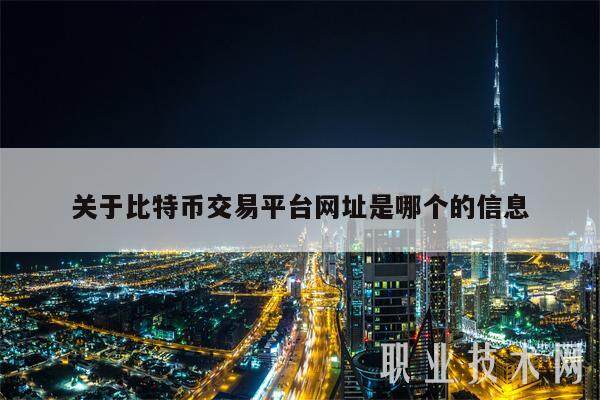 关于比特币交易平台网址是哪个的信息-第1张图片-欧意下载
