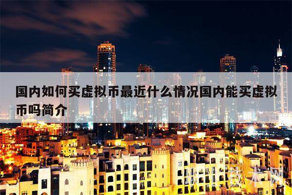 国内如何买虚拟币最近什么情况国内能买虚拟币吗简介-第1张图片-欧意下载