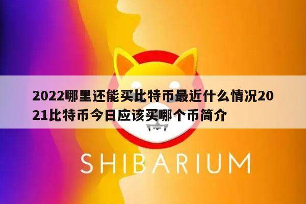 2022哪里还能买比特币最近什么情况2021比特币今日应该买哪个币简介-第1张图片-欧意下载