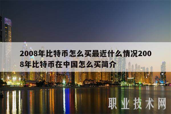 2008年比特币怎么买最近什么情况2008年比特币在中国怎么买简介-第1张图片-欧意下载