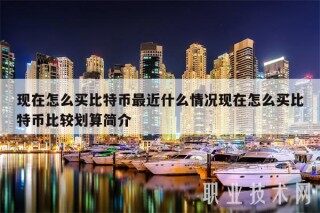现在怎么买比特币最近什么情况现在怎么买比特币比较划算简介